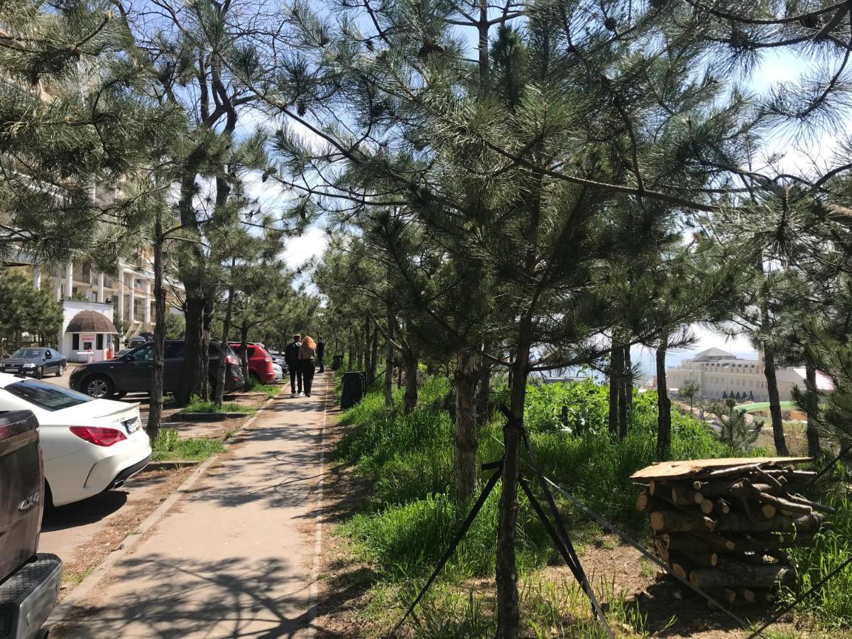 דירות אודסה Аркадийский Дворец. Санрайз מראה חיצוני תמונה